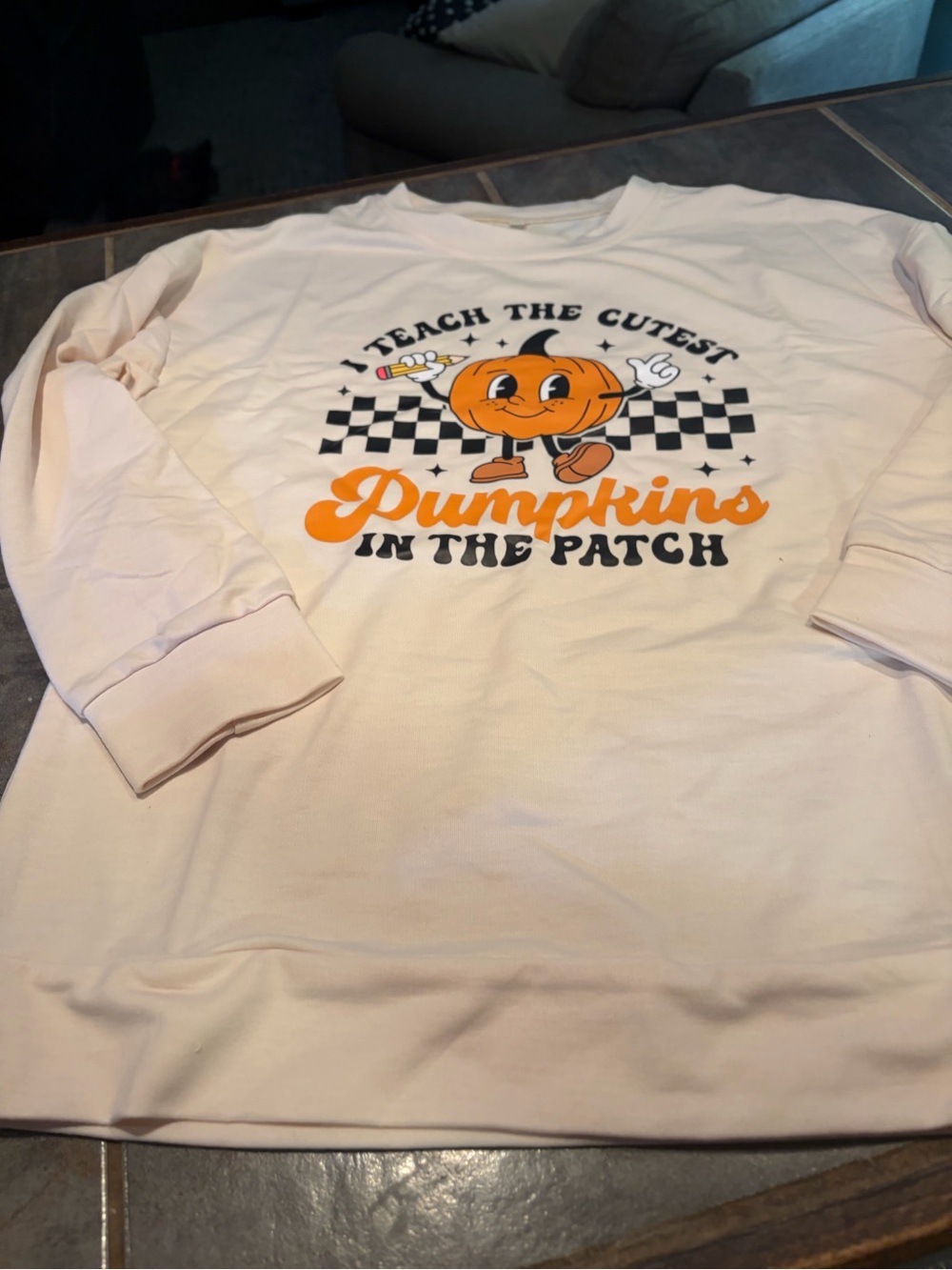 NWT  'I Teach the Cutest Pumpkins in the Patch' Graphic Teacher Sweatshirt- sz S
